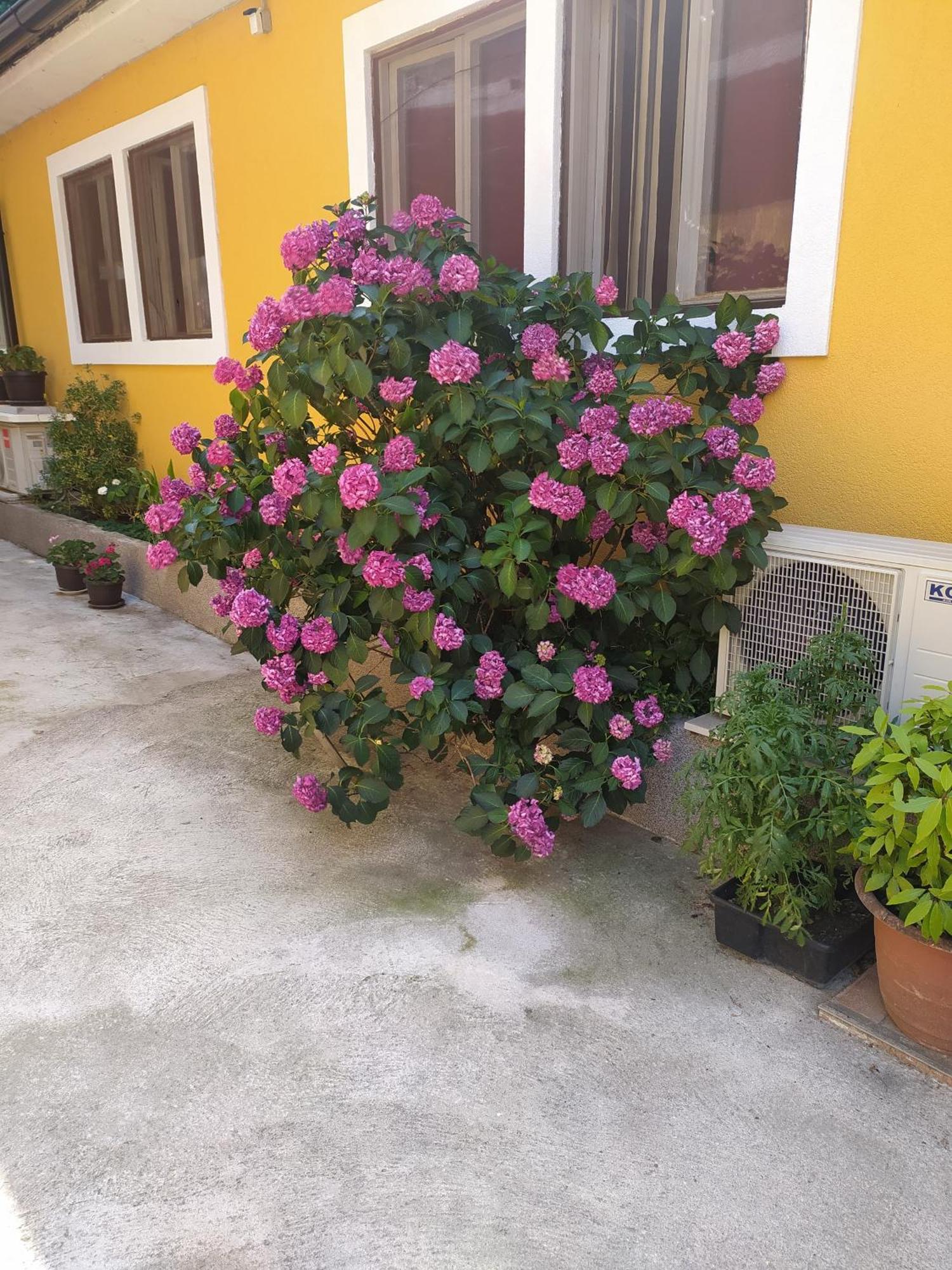 In Kala Otel Rijeka Dış mekan fotoğraf